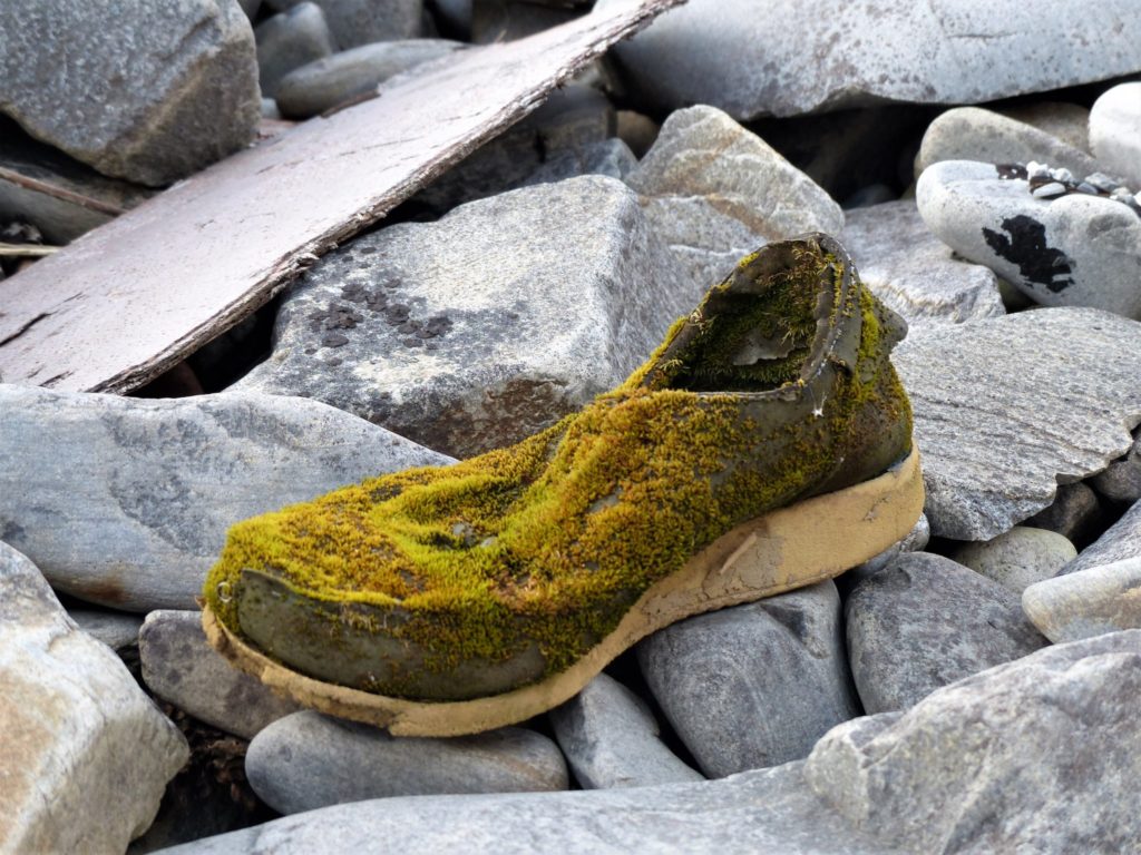 Ein Schuh aus dem Meer
